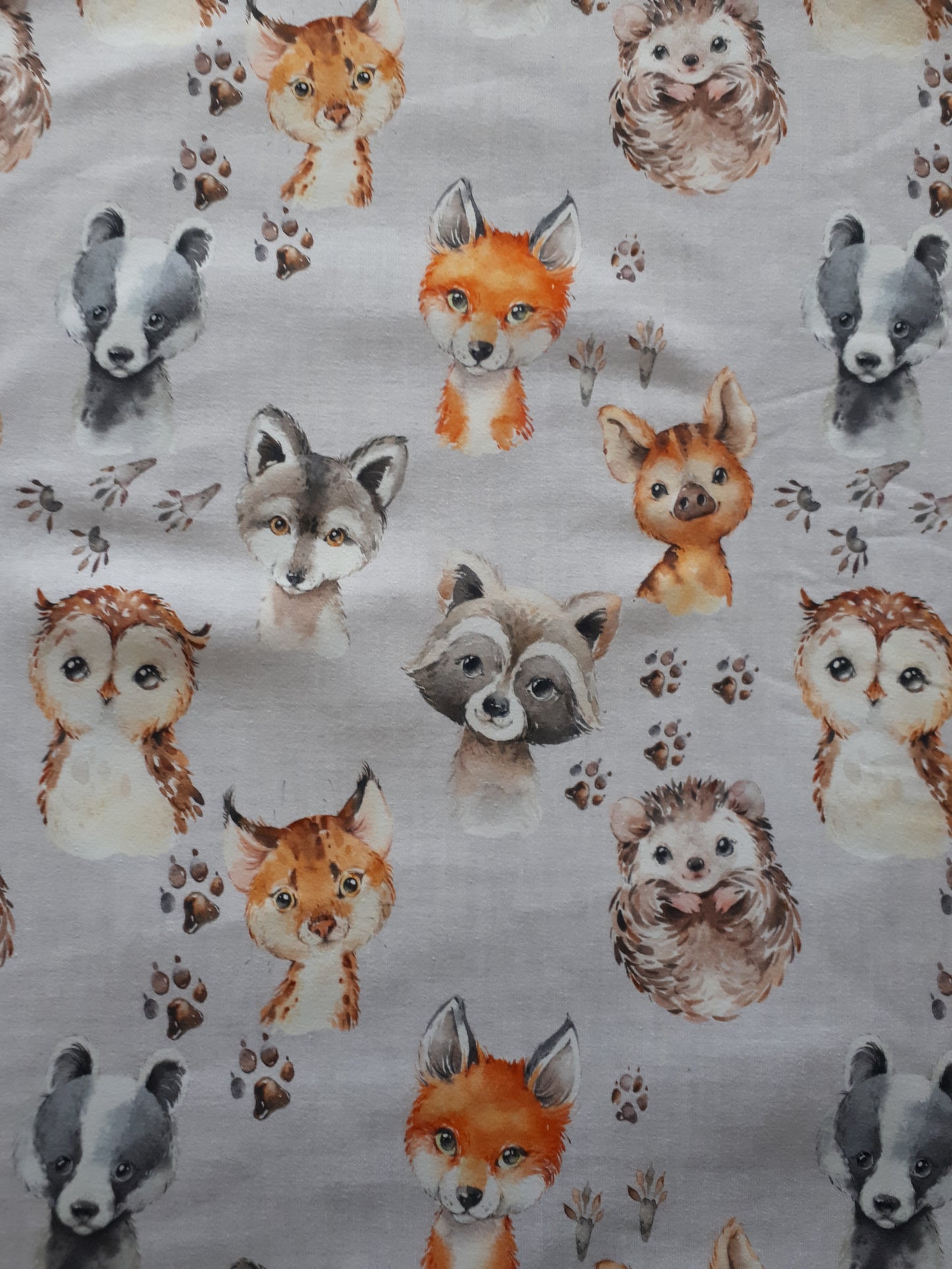 Hoodie - Bébés animaux - Gris 2 tons